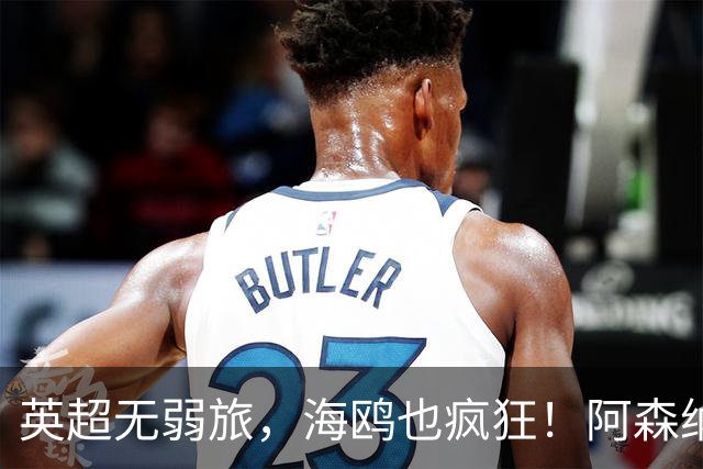英超无弱旅，海鸥也疯狂！阿森纳3球惨败，拉亚成了远射背景板